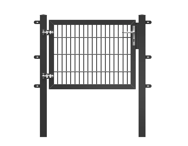 2D Single Gate