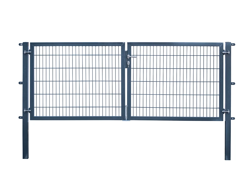 2D Double Gate