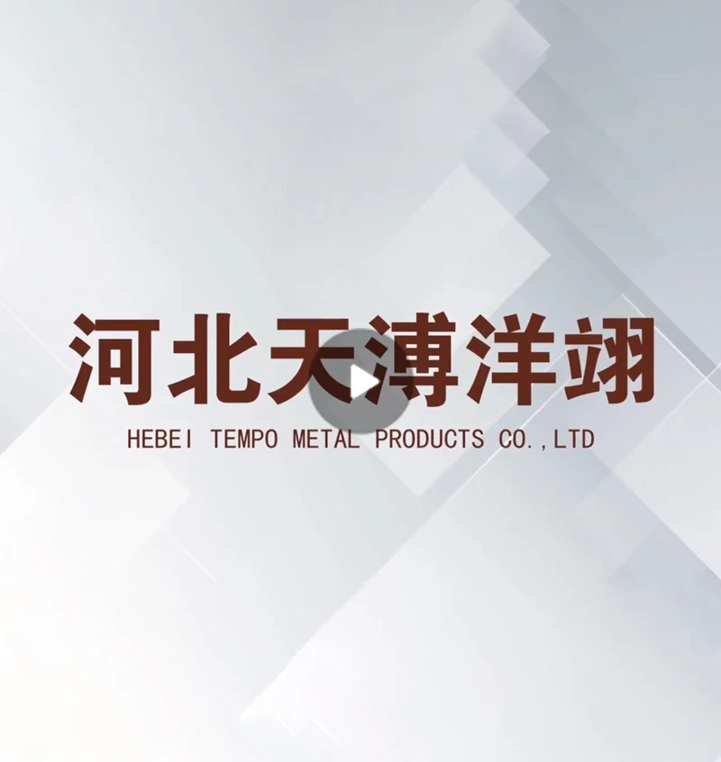 Hebei Tempo Metal Products Co., Ltd.