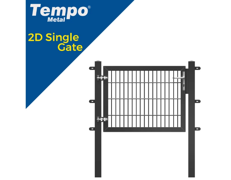 2D Single Gate
