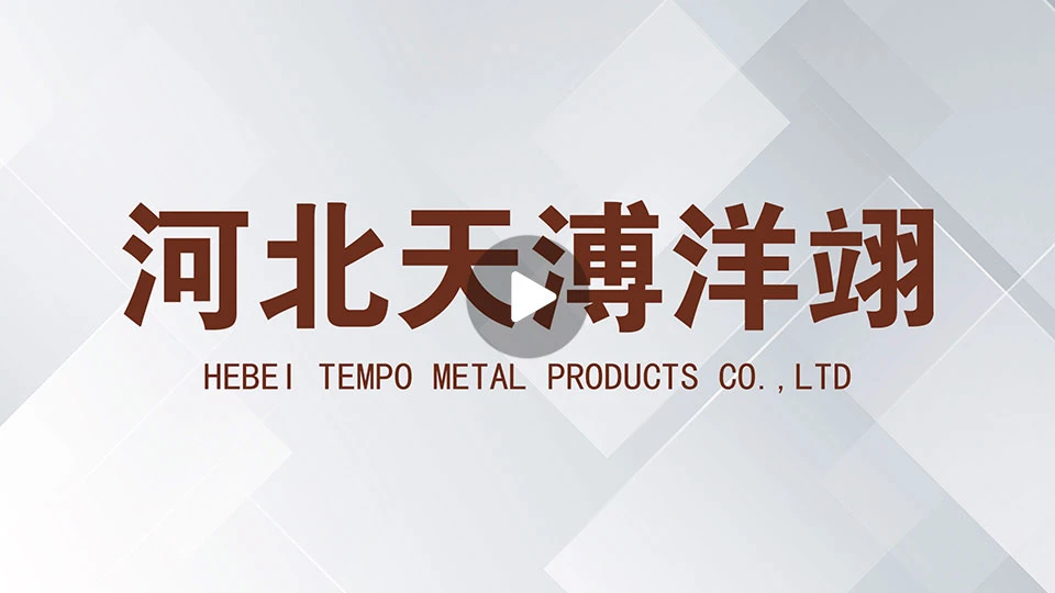 Hebei Tempo Metal Products Co., Ltd.