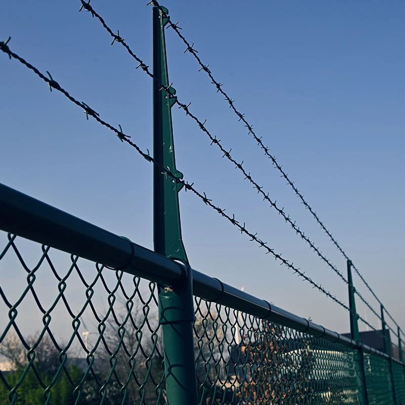 Barbed Wire Arm Upright